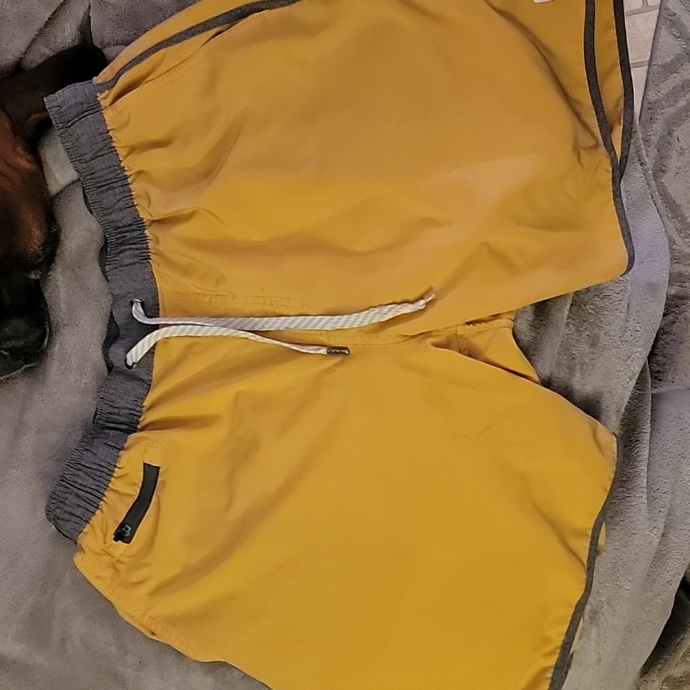 Men's Vuori Shorts